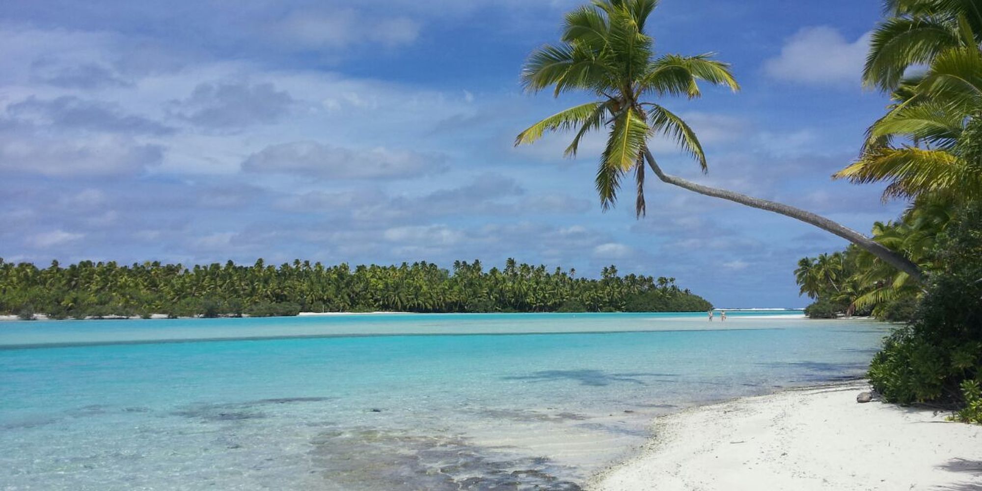 Aitutaki strand palmbomen | cookeilanden