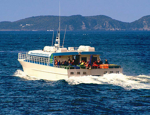 Ervaring Foveaux Strait in comfort en stijl aan boord van deze catamaran. 
