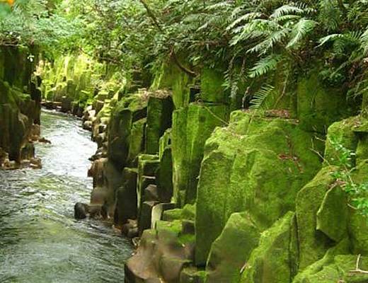 Te Urewera National Park | rondreis Nieuw-Zeeland