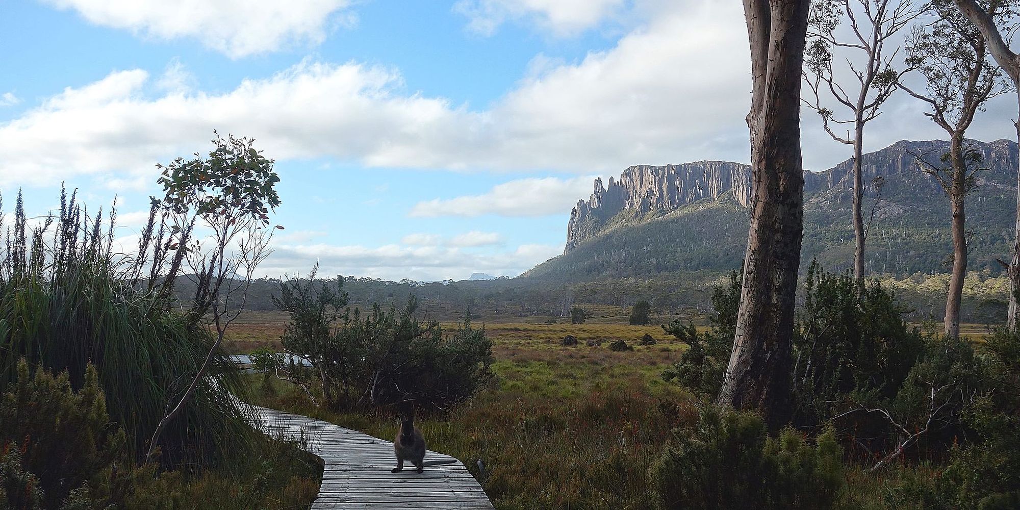 Cradle Mountain National Park