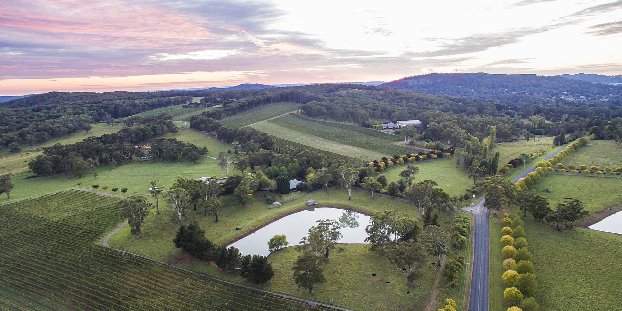 Bowral wijngaarden | rondreis Australië