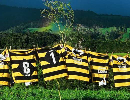 De was van rugby team | rondreis Nieuw-Zeeland