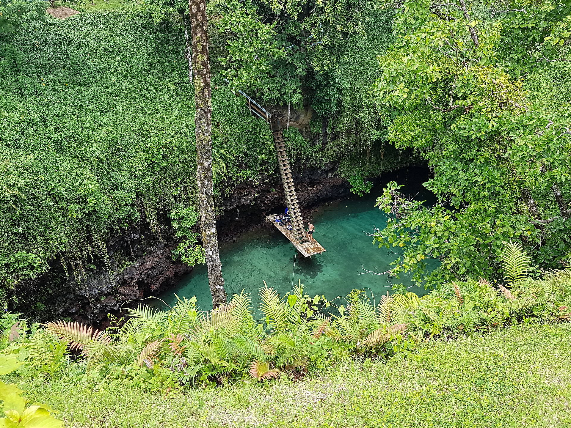 samoa heren nederland