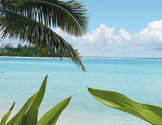 csm_muri-beachcomber-1_da0e957efd